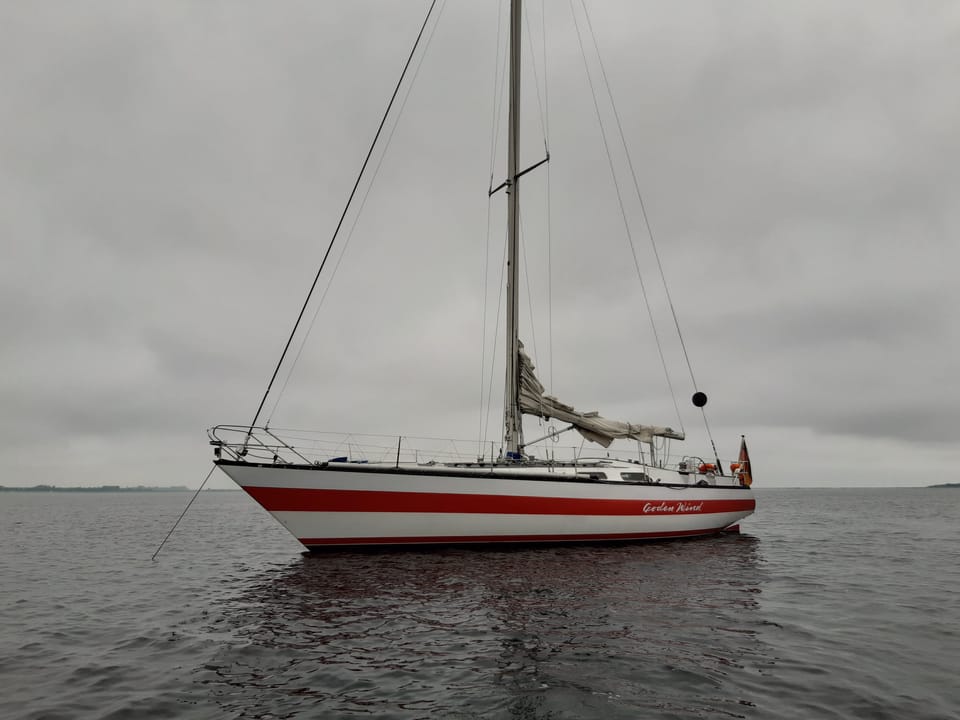Testing the Waters | Die Gewässer testen