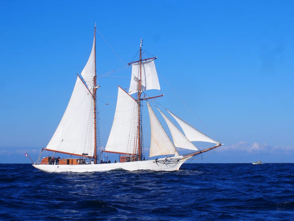 Ship Spotting